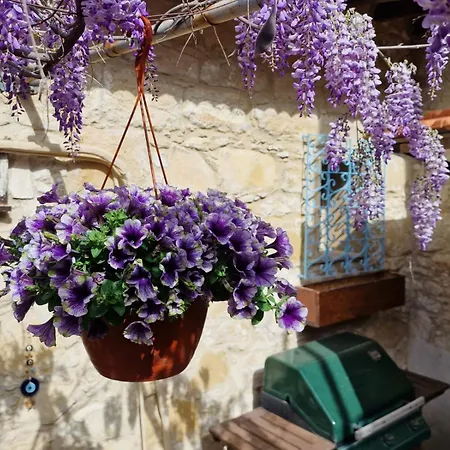 Apartment Kalimera A Lovely 1-bedroom With Ensuite And Kitchen