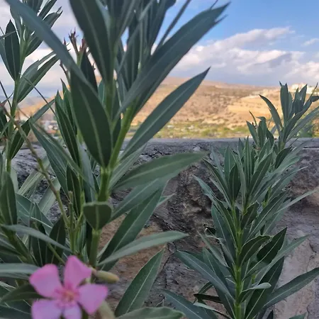 Διαμέρισμα Kalimera A Lovely 1-bedroom With Ensuite And Kitchen Λεμεσός