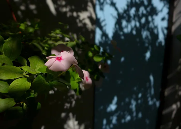 Kalimera A Lovely 1-bedroom With Ensuite And Kitchen アパート リマソール