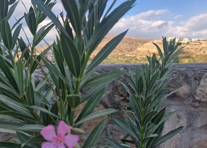 Apartamento Kalimera A Lovely 1-bedroom With Ensuite And Kitchen Limassol