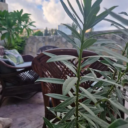 Lejlighed Kalimera A Lovely 1-bedroom With Ensuite And Kitchen